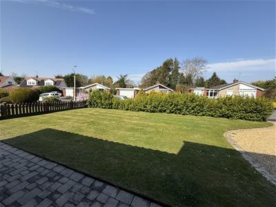 Picture 23